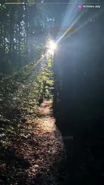 Puppy Saves Rabbit