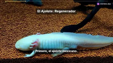 7 Animales Increíbles y Extraños