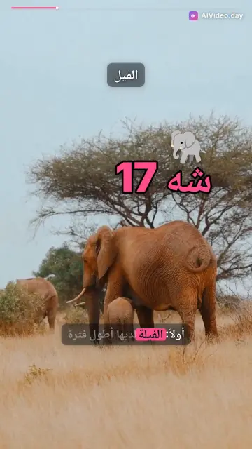 حقائق صادمة عن الحيوانات