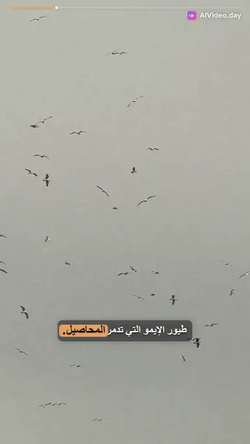حرب البشر ضد الطيور: هزيمة الجيش أمام الإيمو