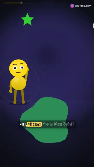 মেঘালয়ের জীবন্ত সেতু: গাছের শিকড় দিয়ে তৈরি