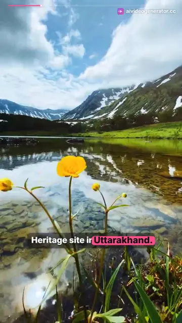 Valley of Flowers Travel Guide