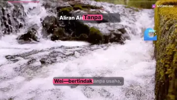 Tao: Jalan Alami Kehidupan dan Wu Wei