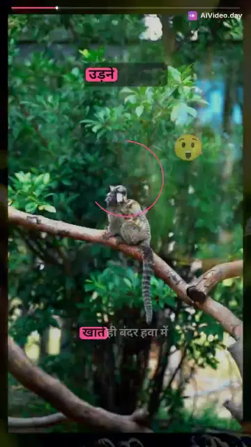 जादुई आम वाला बंदर की कहानी