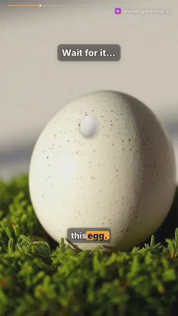 Funny Chick Surprise Hatching Egg