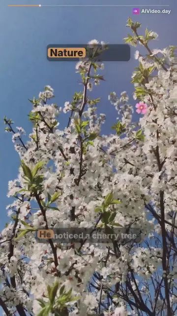 The Garden's Secret: A Mystery Unfolds