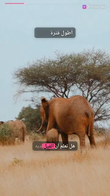 حقائق مذهلة عن الحيوانات والطبيعة