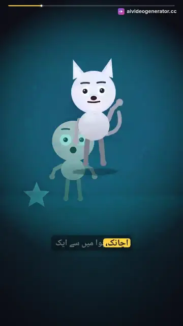 جادوئی خرگوش اور سلمان کی خواہش